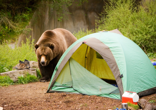 The Importance of Prioritizing Security in Camping